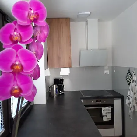 Hisa Spuntar * Bovec