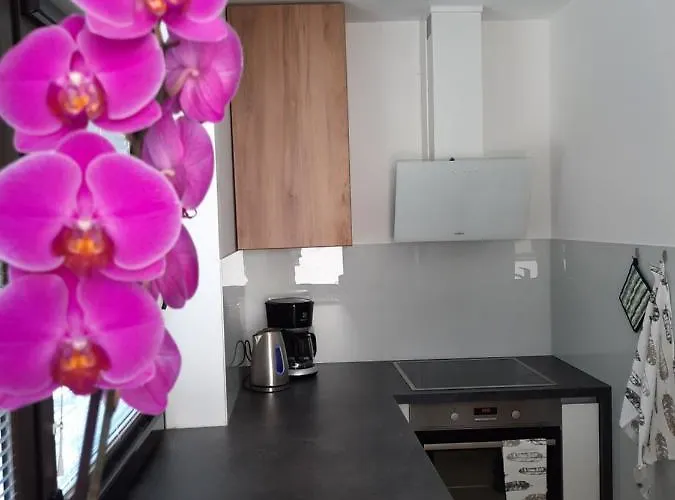 Hisa Spuntar * Bovec